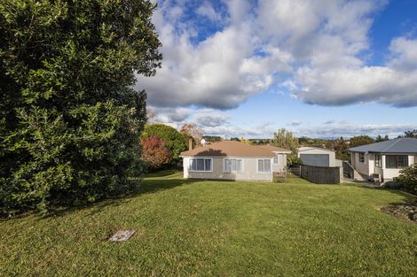 Photo of property in 151 Te Tomo Street, Te Awamutu, 3800