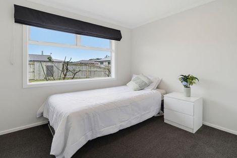 Photo of property in 30 Monarch Drive, Ashhurst, 4810