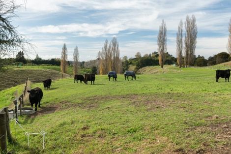 Photo of property in 357 Maungarangi Road, Paengaroa, Te Puke, 3189