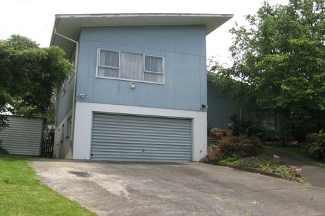 Photo of property in 115 Hillside Road, Papatoetoe, Auckland, 2025