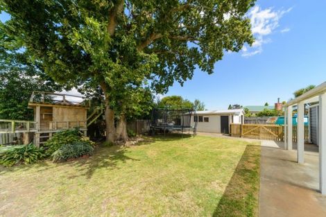 Photo of property in 3 Bull Street, Bulls, 4818