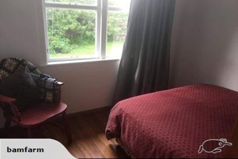 Photo of property in 50 Pagitt Street, Coromandel, 3506