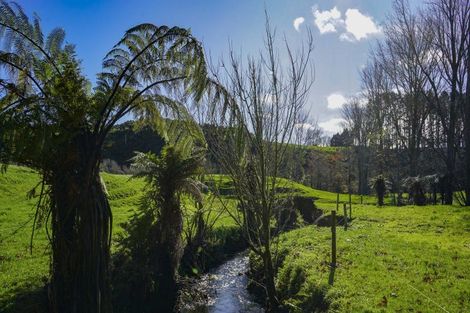 Photo of property in 118 Pukewera Road, Waihi, 3682