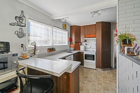 Photo of property in 25 Arnott Street, Alexandra, 9320