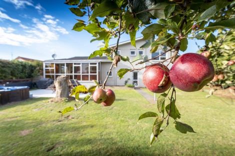 Photo of property in 34 Kauri Crescent, Matamata, 3400