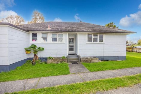 Photo of property in 29 Paul Crescent, Fairfield, Hamilton, 3214