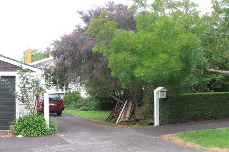 Photo of property in 20 Telford Avenue, Mount Eden, Auckland, 1041