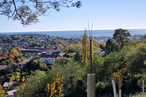 Photo of property in 3a Braemar Place, Nelson South, Nelson, 7010