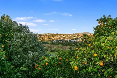 Photo of property in 79 Townhead Crescent, Bethlehem, Tauranga, 3110