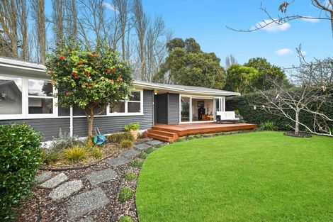 Photo of property in 6 Olympia Place, Riverlea, Hamilton, 3216