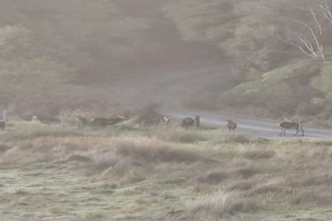 Photo of property in 1161 Marsden Road, Marsden, Greymouth, 7872