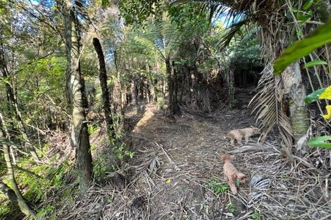 Photo of property in 211 Krippner Road, Puhoi, Warkworth, 0994