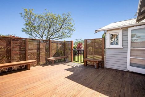 Photo of property in 42 Limbrick Street, Terrace End, Palmerston North, 4410