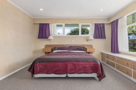 Photo of property in 115 Winchester Street, Levin, 5510