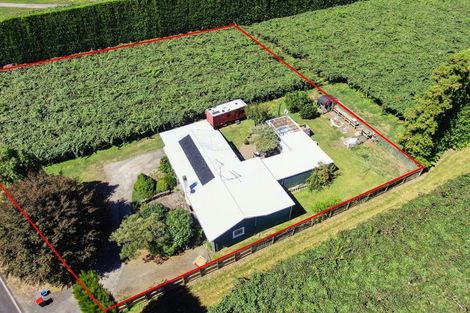 Photo of property in 186 Beach Road, Katikati, 3178