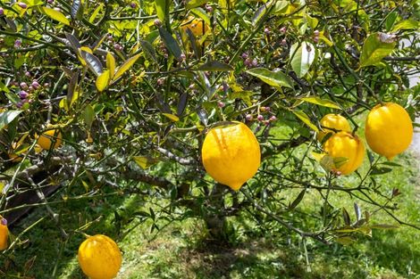 Photo of property in 32 Ranui Road, Stoke, Nelson, 7011