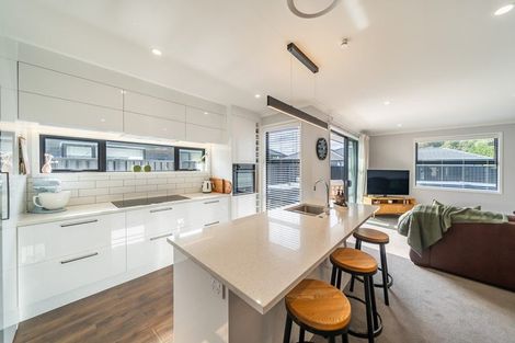 Photo of property in 117 Mawai Hakona Drive, Wallaceville, Upper Hutt, 5018