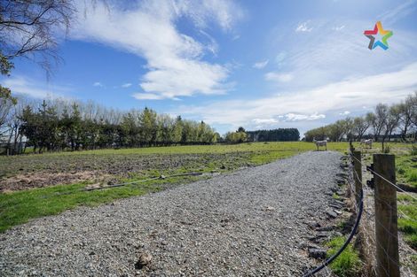 Photo of property in 533 Flora East, Makarewa, Invercargill, 9876