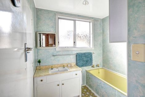 Photo of property in 17 Johnson Street, Milton, 9220