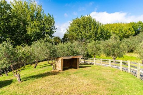 Photo of property in 35 Poplar Glade, Mangawhai, Kaiwaka, 0573