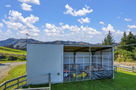 Photo of property in 67 Macraes Road, Waynes, Palmerston, 9483