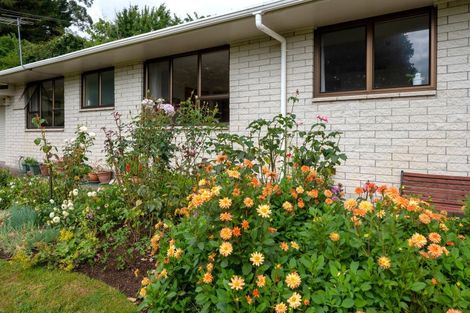 Photo of property in 1163 Paradise Valley Road, Ngongotaha Valley, Rotorua, 3072