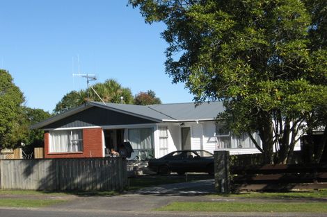 Photo of property in 53 Fairview Street, Fairview Downs, Hamilton, 3214