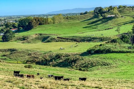 Photo of property in 114 Aorangi Road, Paeroa, 3600