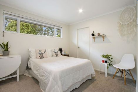 Photo of property in 245 Wharawhara Road, Tahawai, Katikati, 3178