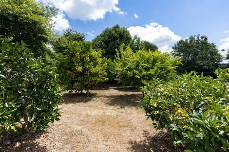 Photo of property in 11 Sanctuary Lane, Tamahere, Hamilton, 3283