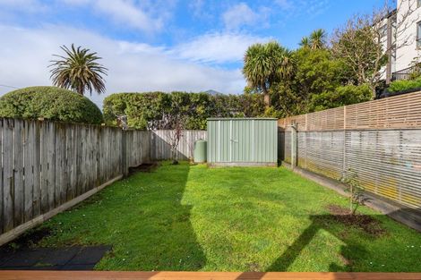 Photo of property in 17 Rolleston Street, Mount Cook, Wellington, 6021