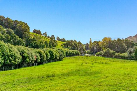Photo of property in 704 Whangaripo Valley Road, Whangaripo, Wellsford, 0972