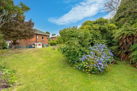 Photo of property in 13 Shulma Street, Abbotsford, Dunedin, 9018