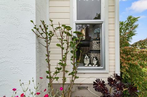 Photo of property in 19 Churchill Avenue, Te Aroha, 3320