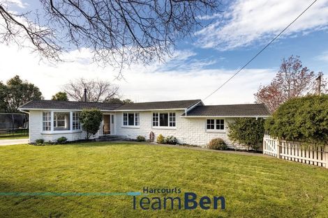 Photo of property in 11 Litchfield Street, Redwoodtown, Blenheim, 7201