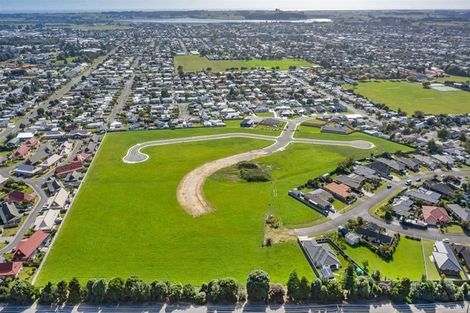 Photo of property in 12 Thorn Place, Levin, 5510