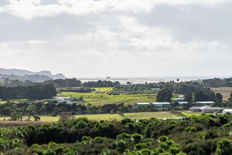 Photo of property in 15 Sandhill Heights, Mangawhai, 0975