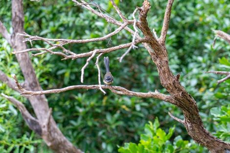 Photo of property in 20 Roys Road, Plimmerton, Porirua, 5026