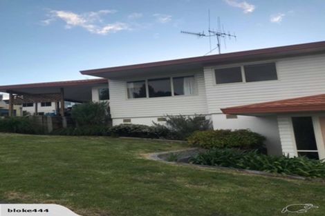 Photo of property in 17 Te Koari Drive, Brookfield, Tauranga, 3110
