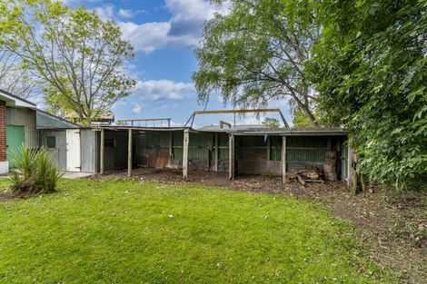 Photo of property in 36 Dryden Street, Milton, 9220