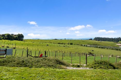 Photo of property in 836a Pungaere Road, Waipapa, Kerikeri, 0295
