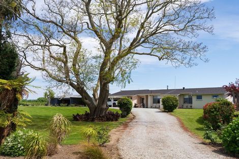 Photo of property in 33 Caesar Road, Ormond, Gisborne, 4071