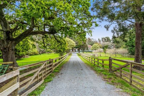 Photo of property in 46 Forest View Road, Te Kamo, Kamo, 0185