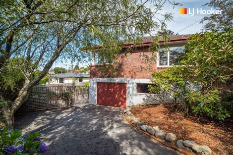 Photo of property in 166 Balmacewen Road, Wakari, Dunedin, 9010