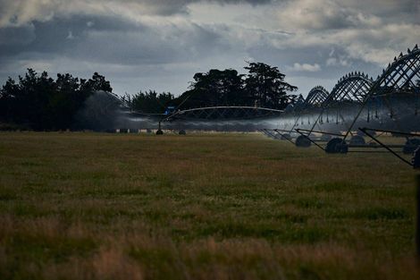 Photo of property in 247 Seabridge Road, Motukarara, Christchurch, 7672