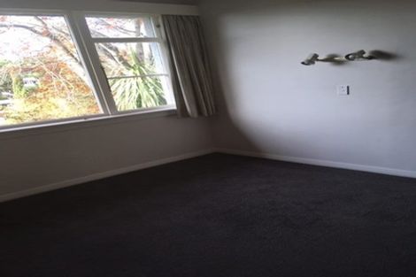 Photo of property in 177 Helensburgh Road, Wakari, Dunedin, 9010
