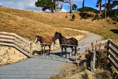 Photo of property in 227 Takarau Gorge Road, Ohariu, 6037