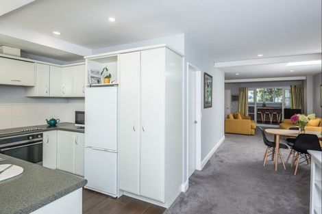 Photo of property in Lexington Apartments, 33l Hania Street, Mount Victoria, Wellington, 6011