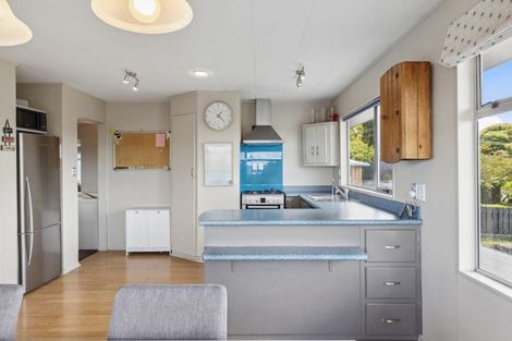 Photo of property in 48 Norman Smith Street, Nukuhau, Taupo, 3330