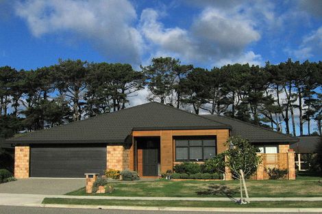 Photo of property in 138 Weggery Drive, Waikanae Beach, Waikanae, 5036